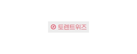 토렌트위즈-접속불가